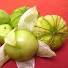Cisineros Tomatillo  tomato seeds