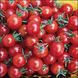 Currant Sweet Pea heirloom tomato seeds