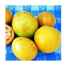 Great White Beefsteak heirloom tomato seeds Great White Beefsteak heirloom tomato seeds