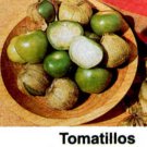 Toma Verde tomatillo tomato seeds
