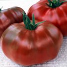 Paul Robeson Russian heirloom tomato seeds