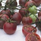 Chocolate Cherry tomato seeds Chocolate Cherry tomato seeds