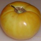 Hugh's heirloom tomato seeds