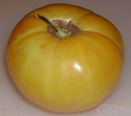 Hugh's heirloom tomato seeds