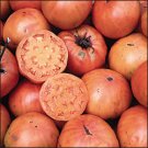 Kellogg's Breakfast heirloom tomato seeds