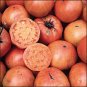 Kellogg's Breakfast heirloom tomato seeds