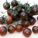 Black Cherry tomato seeds Black Cherry tomato seeds