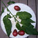 Evan's Purple Pear small dark tomato seeds Evan's Purple Pear small dark tomato seeds