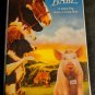 Babe VHS, 2003