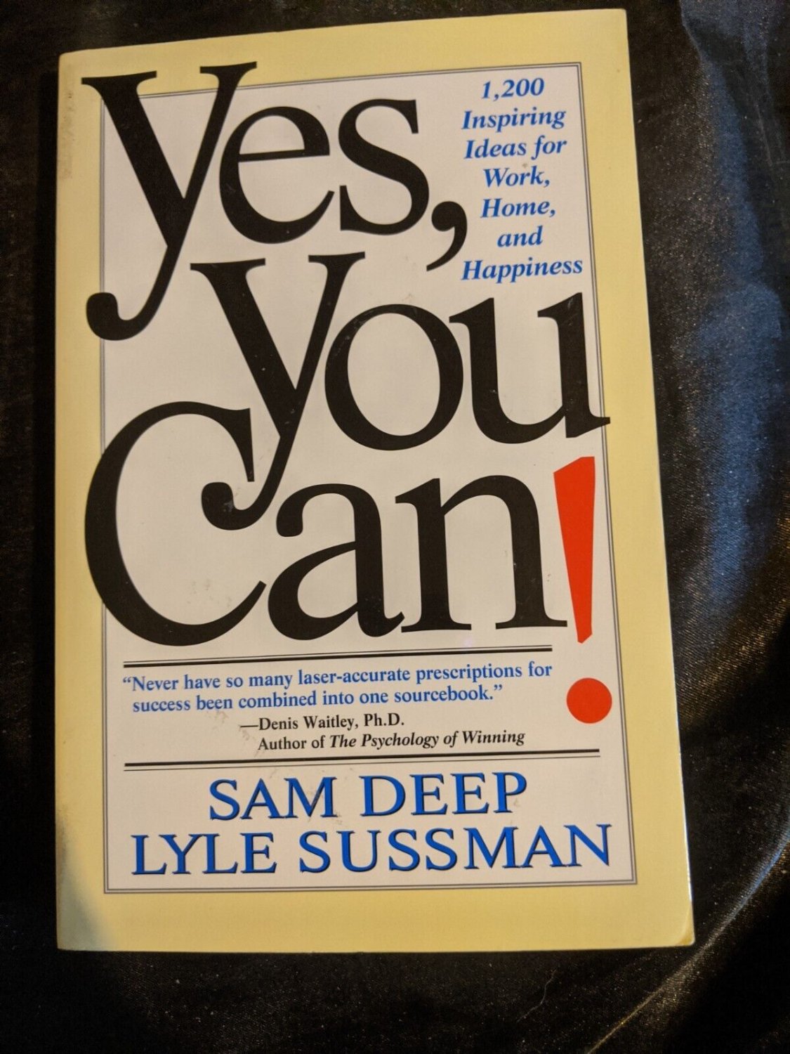 yes-you-can-1200-inspiring-ideas-for-work-home-happiness-sam-deep