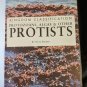 Protozoans, Algae  Other Protists (Kingdom Classification)