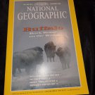 National Geographic Magazine November 1994 Buffalo Back Home on the Range