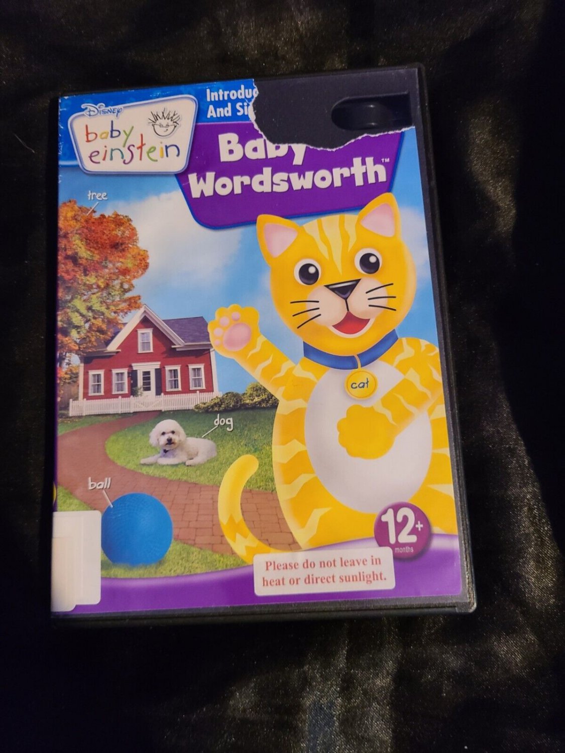 baby wordsworth first words around the house dvd