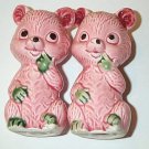 Vintage Porcelain Cute Pink Green Bears Salt Pepper