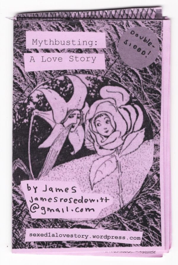 Mythbusting: A Love Story JAMES ROSE DEWITT mini-zine STIs
