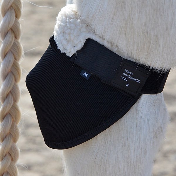 Hock Sheild by Click, A Hock Protector / Wrap That Stays In Place