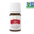 DiGize Vitality™ - by Young Living