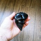 Raw Black Obsidian, Rough Obsidian, Natural Stones, Gemstone, Healing Stones, Chakra 316gr