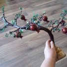 Miniature Pomegranate Tree, Fertility and Good Fortune Pomegranate Tree