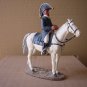 Wellington at Salamanca, 1812, Cavalry of the Napoleonic War, Duke of Wellington