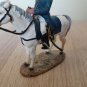 Wellington at Salamanca, 1812, Cavalry of the Napoleonic War, Duke of Wellington