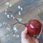 Pomegranate Tree of Life Clear Quartz Fertility and Good Fortune, Home DÃ©cor, Armenian Pomegranate