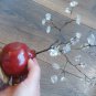 Pomegranate Tree of Life Clear Quartz Fertility and Good Fortune, Home DÃ©cor, Armenian Pomegranate