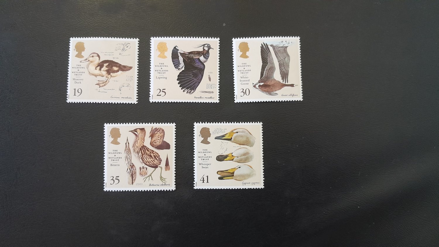 United Kingdom &acirc;�� 50th Anniv of the Wildfowl and Wetlands Trust 1996 &acirc;�� 5 Mint MNH Stamps