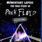 Pink Floyd Momentary Lapses The True Story Of Pink Floyd Blu-Ray