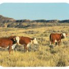 mouse pad HEREFORD CATTLE montana herding farming