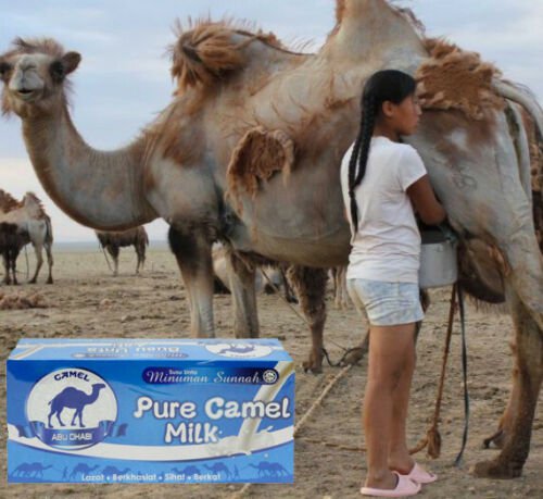 New Original 1 Box (20 Sachets) Pure Camel Milk Powder Abu Dhabi Packet Drink EXP 2022