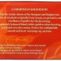BOH Plantation Cameronian Gold Blend Tea 60 teabags Foil Sealed Malaysia Cameron