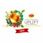Lipton Flavored Tea Infusion 3 Boxes X 20 X 1.5G Enveloped Tea Bags