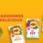 Lipton Flavored Tea Infusion 3 Boxes X 20 X 1.5G Enveloped Tea Bags
