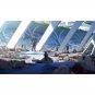 VIVY : FLUORITE EYE'S SONG- (VOL.1-13 END) DVD