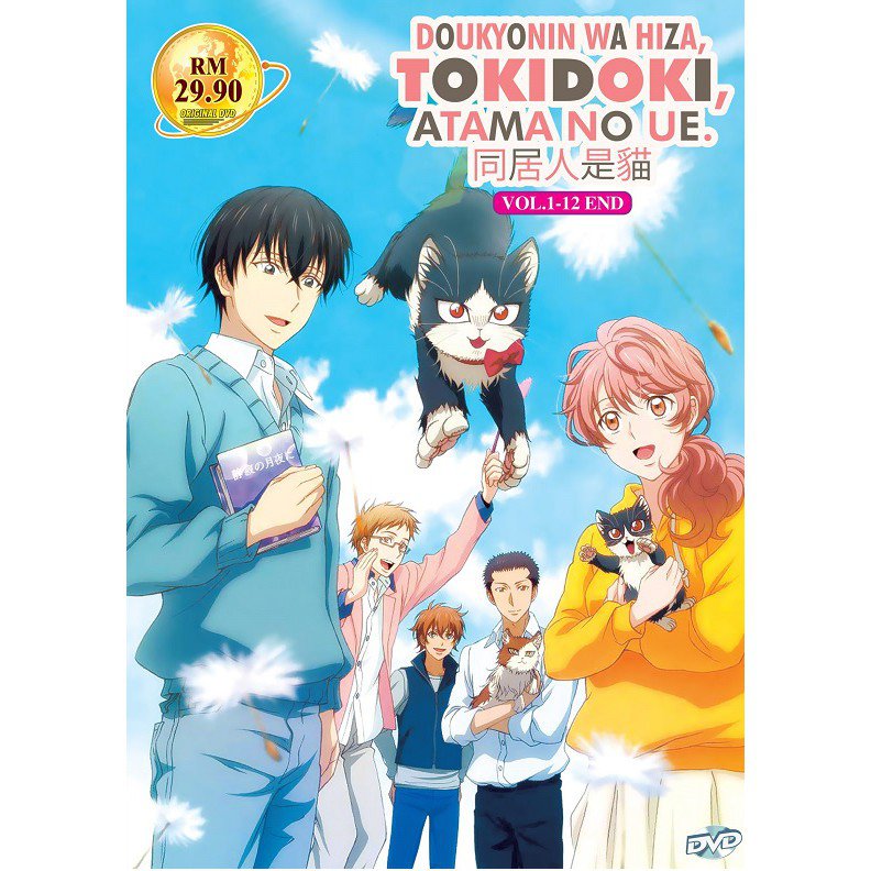 DVD Anime My Roommate Is A Cat Complete TV Series (1-12) English DUB All Region