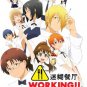 DVD Anime Working!! (Wagnaria) Season 1+2+3 +www.working (1-52 End) English SUB