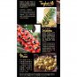 Caver Flo 2 x NEW Sealed Original Herbal Coffee *25g x 10 sachet*