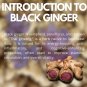 Vcafe Brazilian Arabica Coffee Extract Black Ginger Antioxidant 20 Sachets