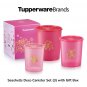 Tupperware Seashells Deco Canister Set with Gift Box