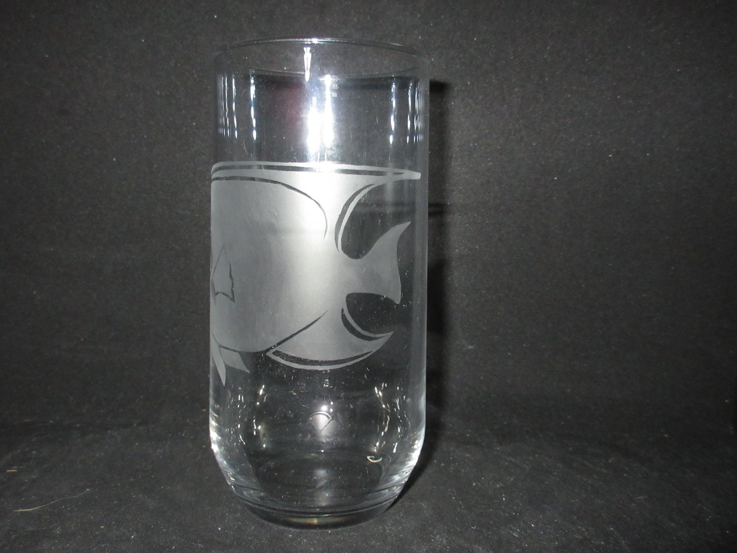 NEW ETCHED QUEEN ANGELFISH DRINKING GLASS TUMBLER