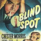 BLIND SPOT 1947 RARE MYSTERY FILM ON DVD-R CHESTER MORRIS STARS BLIND SPOT 1947 RARE MYSTERY FILM ON DVD-R CHESTER MORRIS STARS