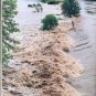 MISSISSIPPI RIVER FLOOD 1993 High Mighty History Photos Disaster