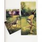 Contemporary Art BOOK Puryear LOUISE BOURGEOIS Fischl Kruger HOlZEER