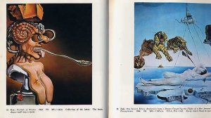 SURREALISM Salvador Dali Joan Miro BOOK Painting Sculpture Surreal Spanish Modern ART