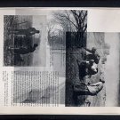 Running Fight ORIGINAL ART Found Object Photography Forest Park St. Louis Millet