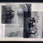 Running Fight ORIGINAL ART Found Object Photography Forest Park St. Louis Millet