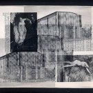 ORIGINAL ART Found Object  Photographiy  Carondel Architecture St. Louis Surrealism