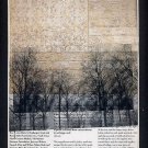 ORIGINAL ART Found Object Surrealism Photography  Multiple Image St. Louis Jasper Johns Flag