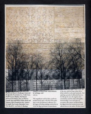 ORIGINAL ART Found Object Surrealism Photography  Multiple Image St. Louis Jasper Johns Flag